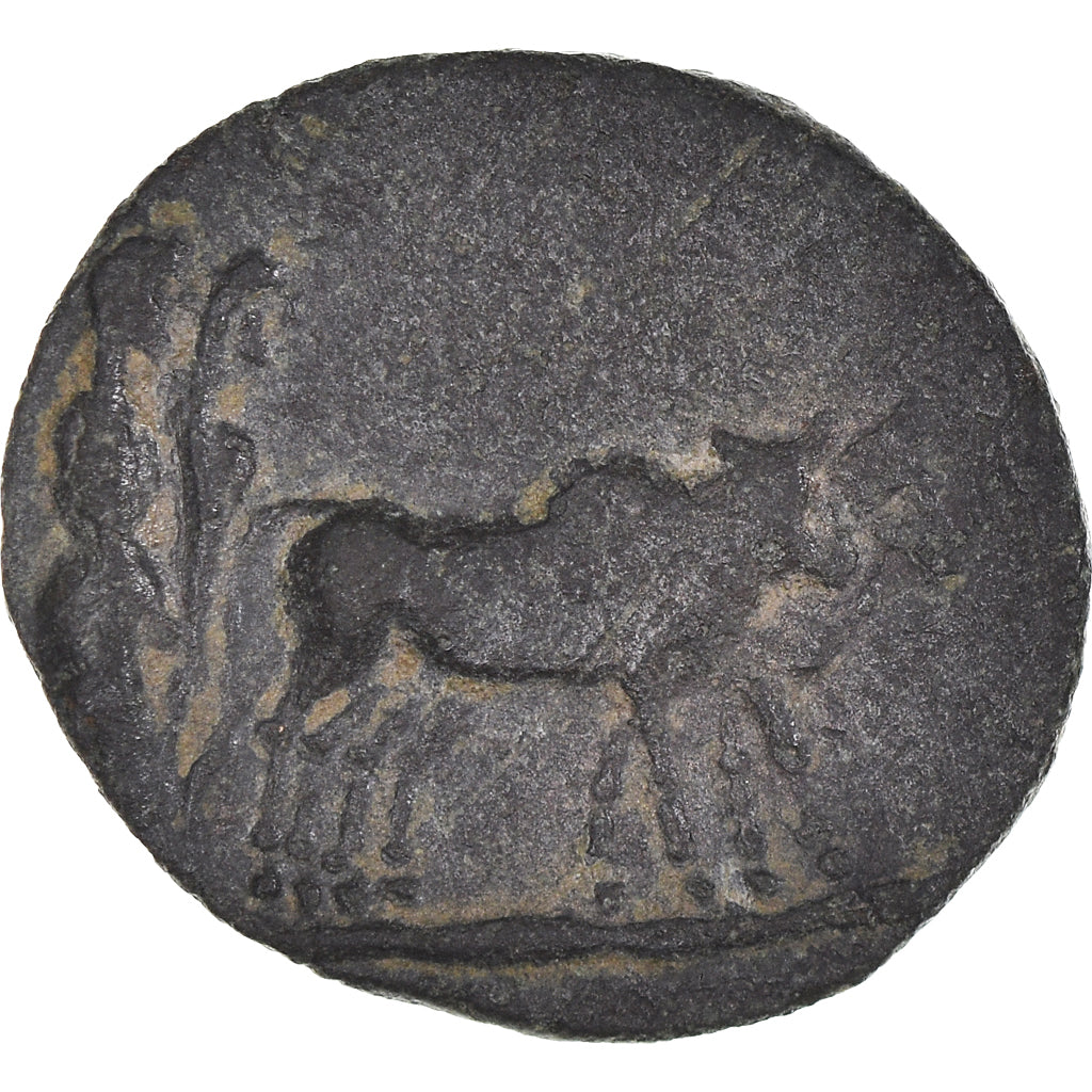 Moneta,
Macedonia,
Augusta