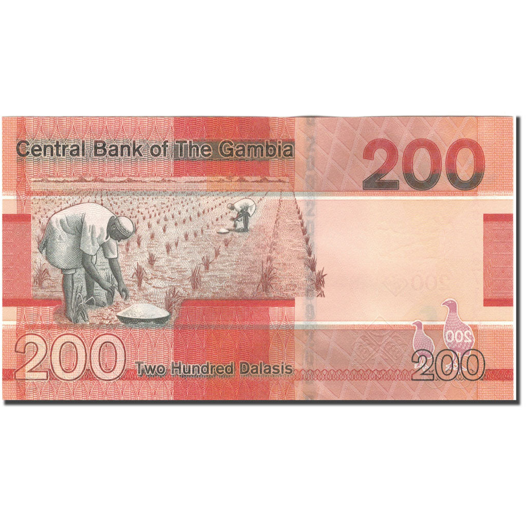 Banknot,
Gambia,
200 Dalasisów