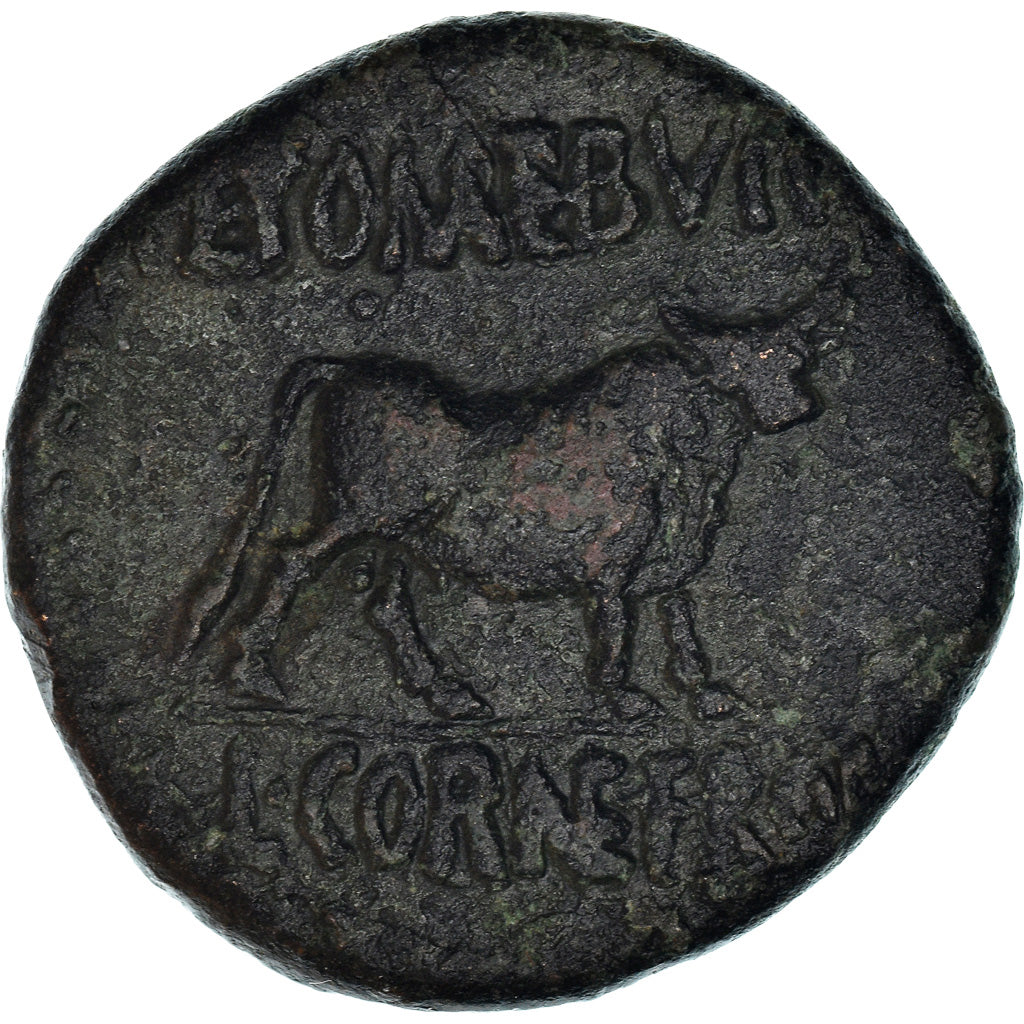 Moneta,
Celtyberowie z Hiszpanii (I wiek p.n.e.),
Jak