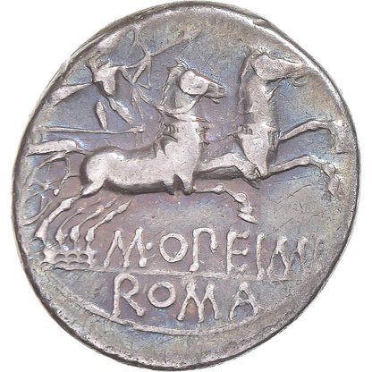 Moneta, 
  
  Opimi, 
  
  Denar