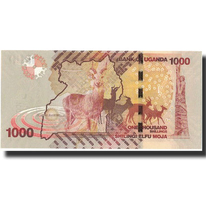 Banknot, 
  
  Uganda, 
  
  1000 szylingów