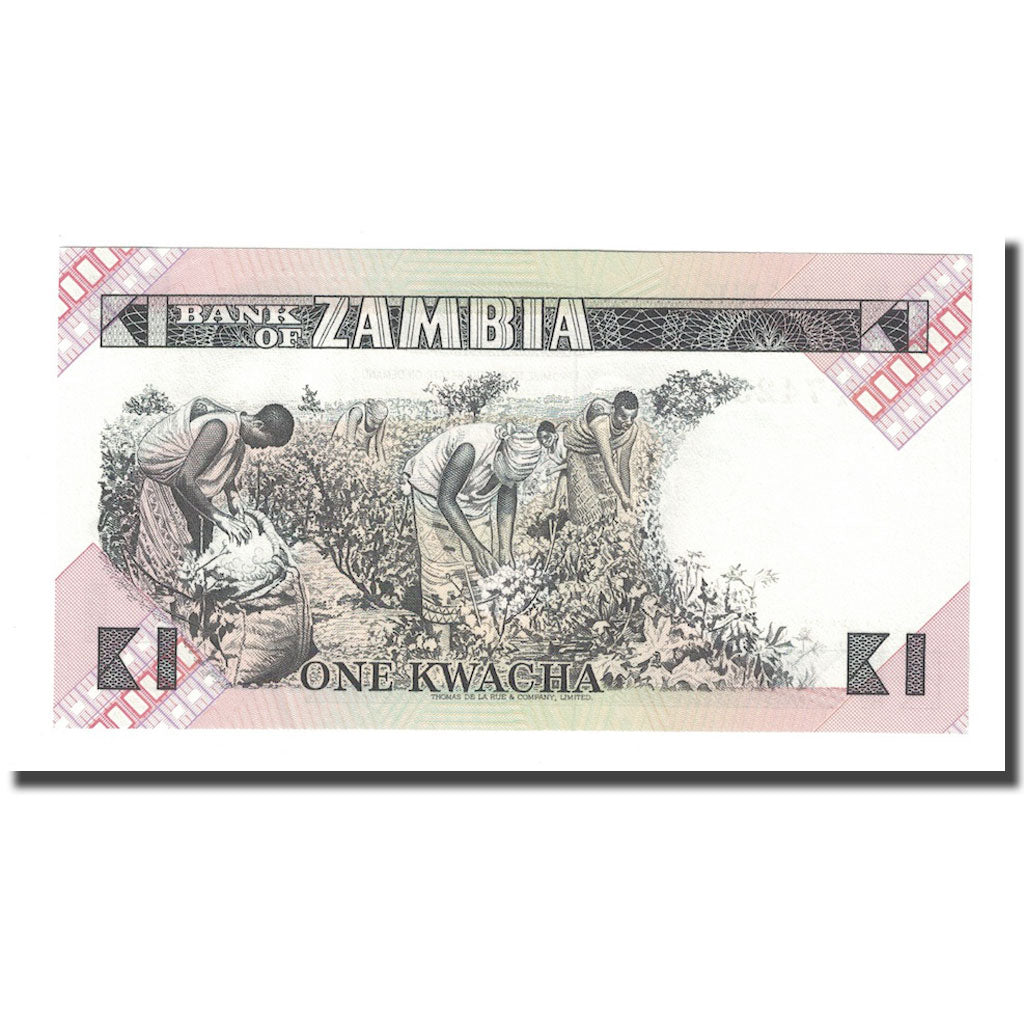Banknot, 
  
  Zambia, 
  
  1 Kwacha