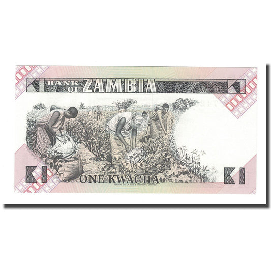 Banknot, 
  
  Zambia, 
  
  1 Kwacha